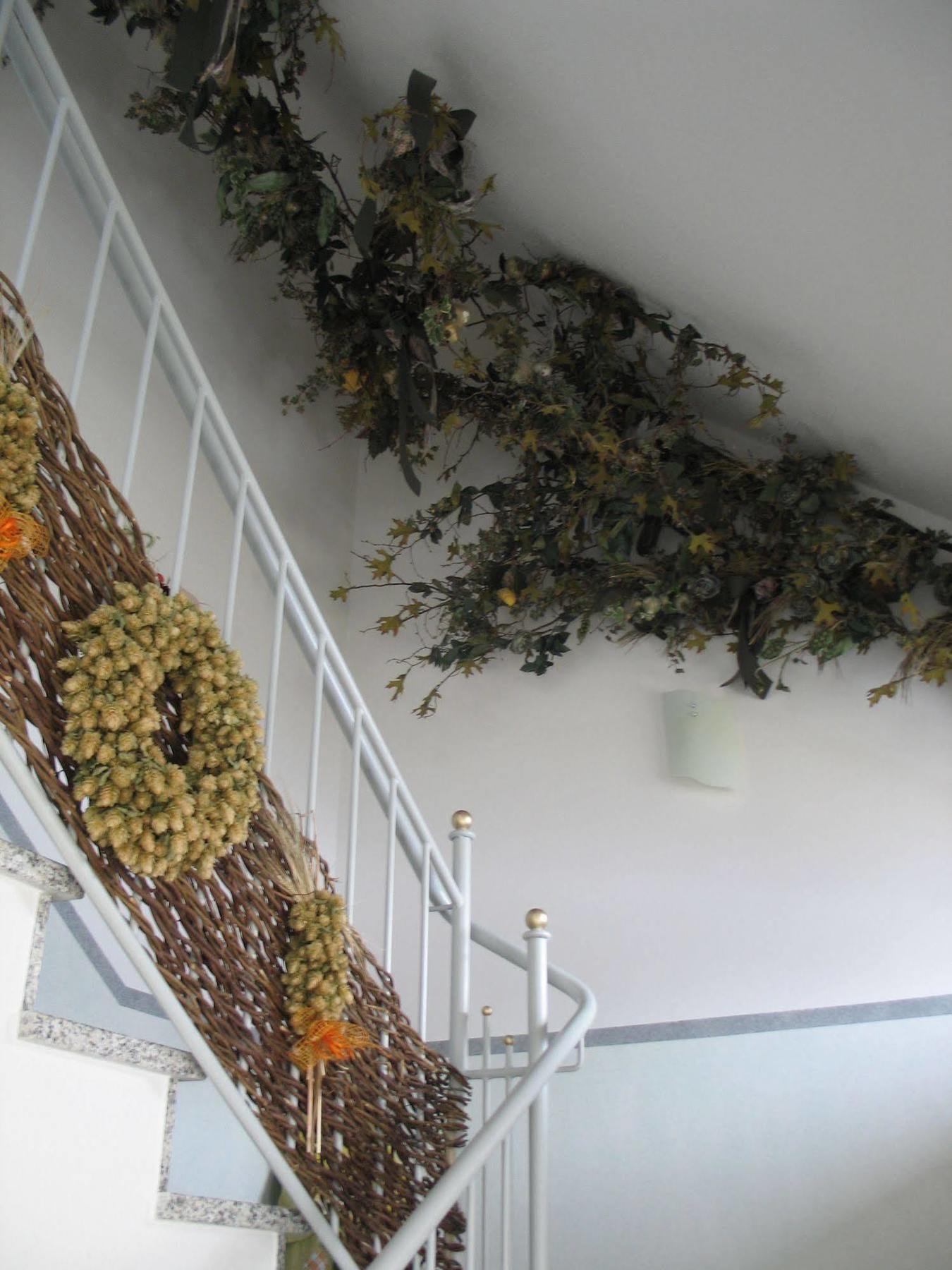 Hotel Garni Hopfengold Wolnzach Εξωτερικό φωτογραφία
